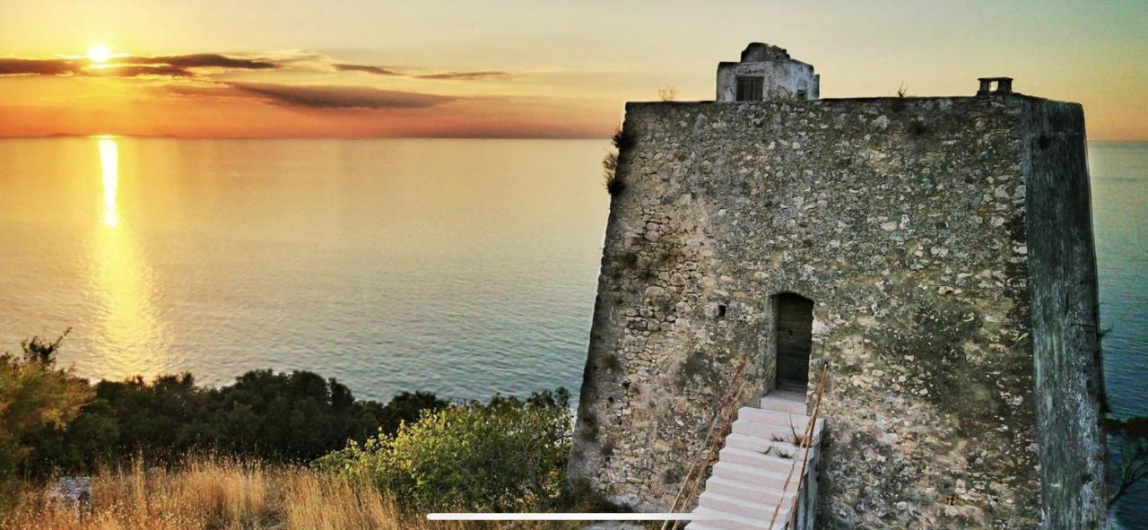 Villa Pineta San Menaio Zewnętrze zdjęcie