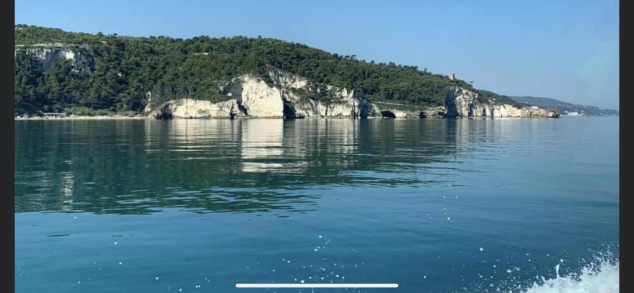 Villa Pineta San Menaio Zewnętrze zdjęcie