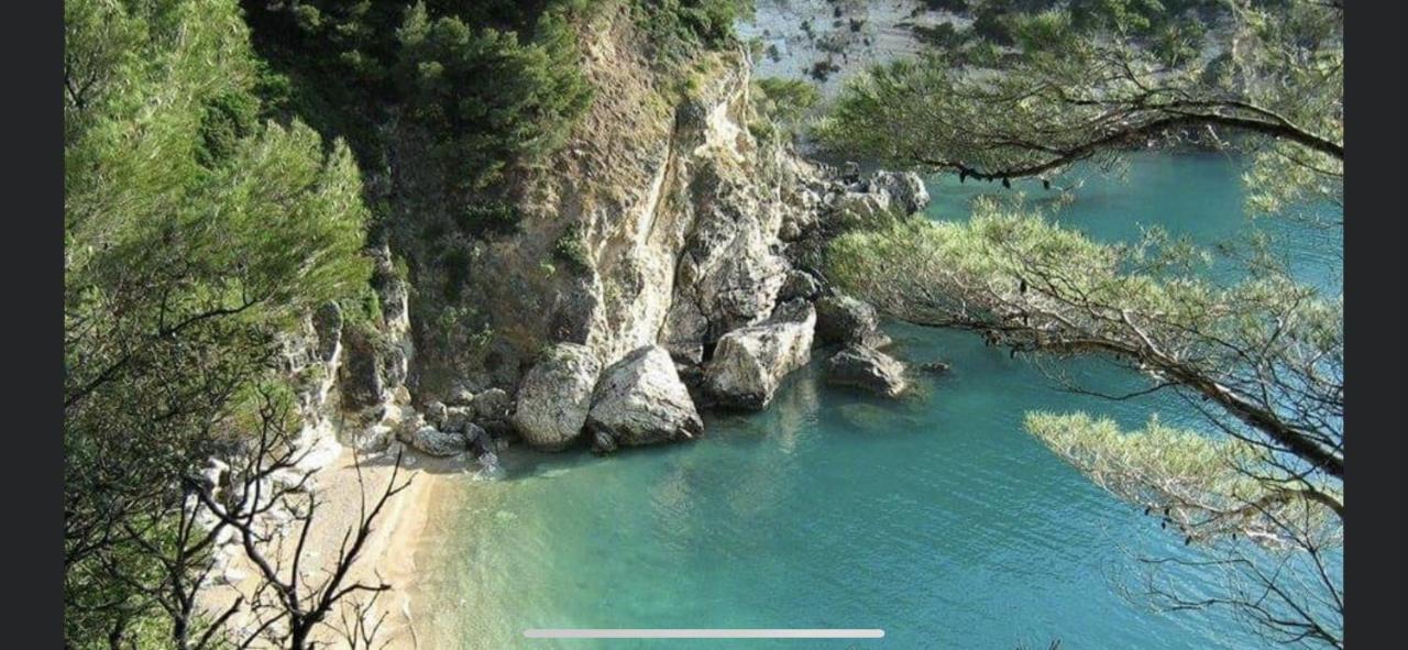 Villa Pineta San Menaio Zewnętrze zdjęcie