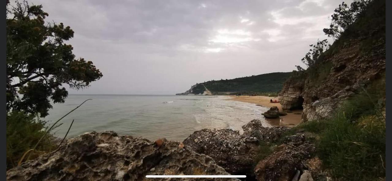 Villa Pineta San Menaio Zewnętrze zdjęcie