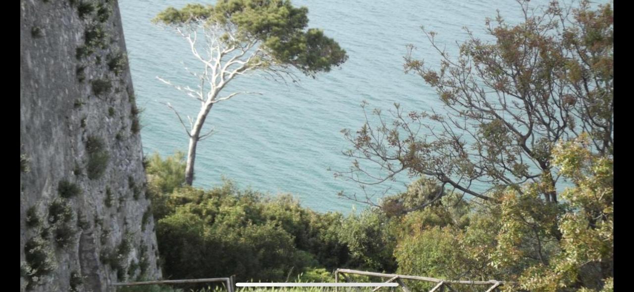 Villa Pineta San Menaio Zewnętrze zdjęcie
